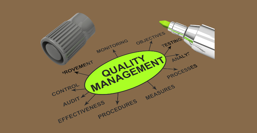 Methods of Quality Management in Software Testing